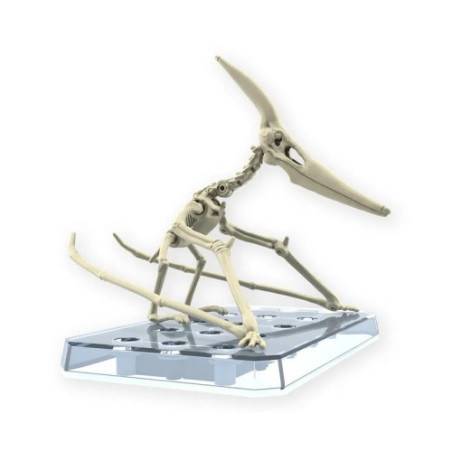 Dinosaure Plastic Model Kit Plannosaurus Pteranodon