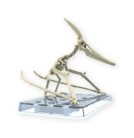 Dinosaure Plastic Model Kit Plannosaurus Pteranodon