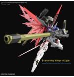 Gundam Gunpla HG 1/144 258 Destiny Gundam Spec II & Zeus Silhouette
