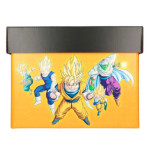 DBZ Collector Box Dragon Ball Z