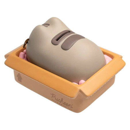 Pusheen tirelire