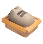 Pusheen tirelire