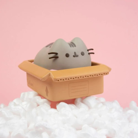 Pusheen tirelire