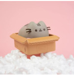 Pusheen tirelire