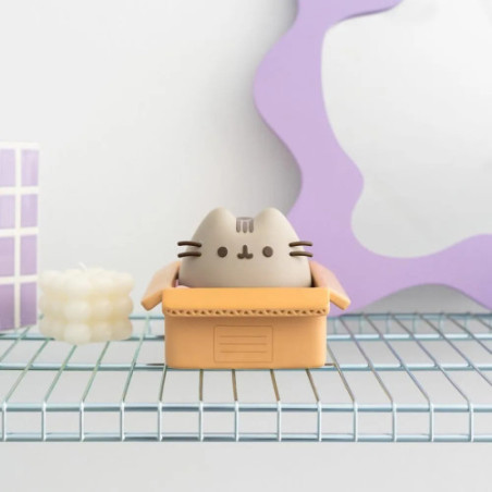 Pusheen tirelire