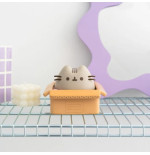 Pusheen tirelire