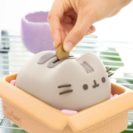 Pusheen tirelire