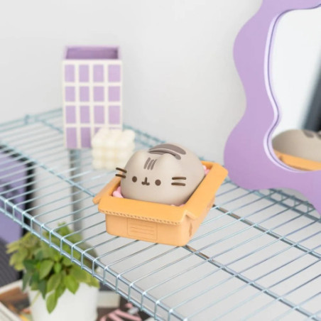 Pusheen tirelire