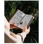 One Piece carnet de voyage 20 cm