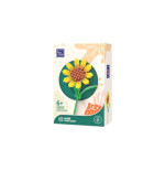 Pantasy Original Jeu de construction Tournesol