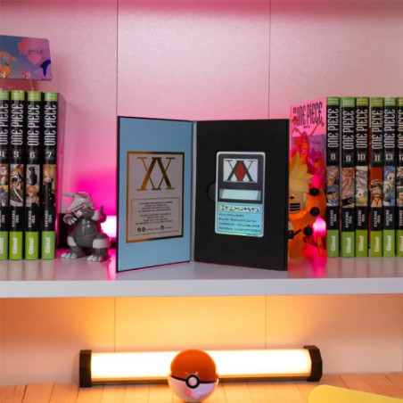 Hunter X Hunter Livret Replique Licence Hunter