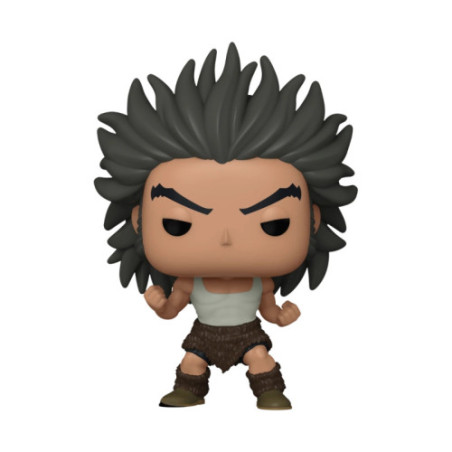 Hunter X Hunter Pop Uvogin