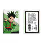 HUNTER X HUNTER - Aimant Standard - Gon